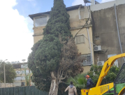 اللد: سقوط شجرة ضخمة على منزل اثر الرياح العاصفة 